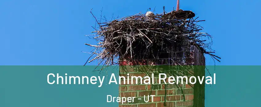 Chimney Animal Removal Draper - UT