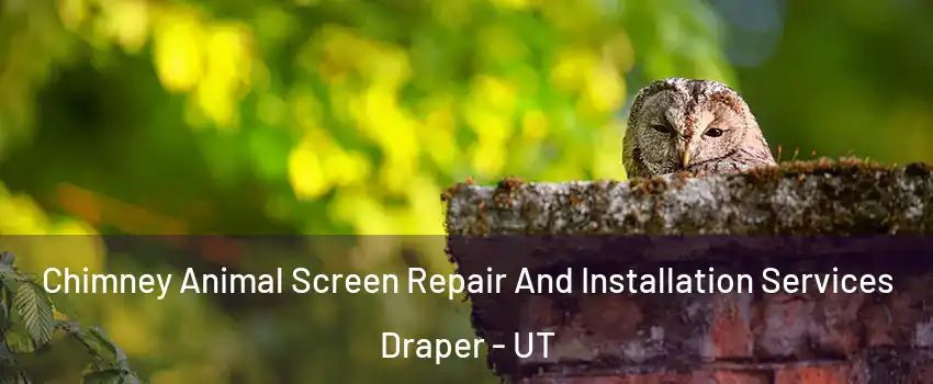  Chimney Animal Screen Repair And Installation Services Draper - UT