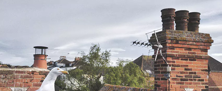 Chimney Cleaning And Restoration in Draper, Utah