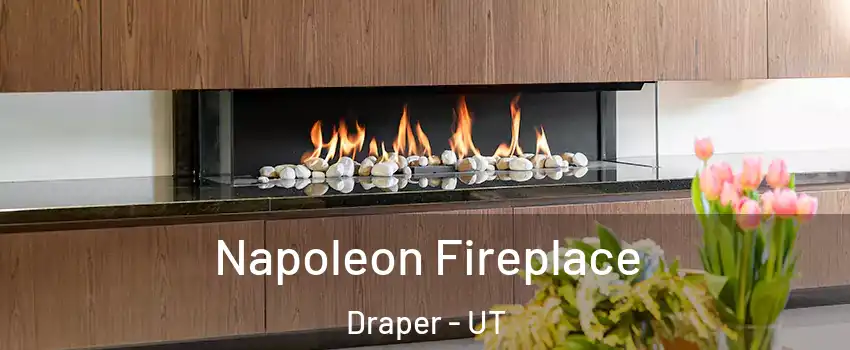  Napoleon Fireplace Draper - UT
